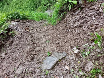 步道維修後