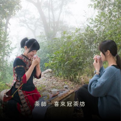 藤枝國家森林遊樂區最新活動3