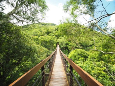 雙流沿山吊橋