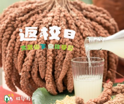 歡迎來林學校體驗食農教育向林學習