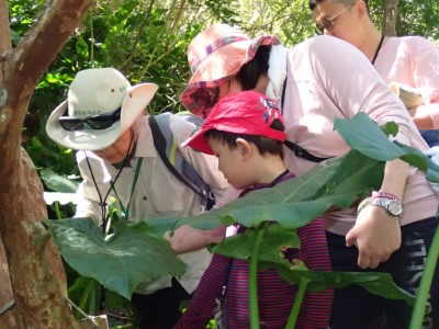 志工於園區進行導覽解說服務