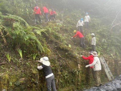志工於藤枝國家森林遊樂區移除外來入侵種植物