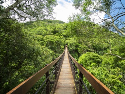 雙流延山吊橋