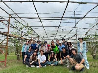 圖4.友善環境草生栽培果園示範區