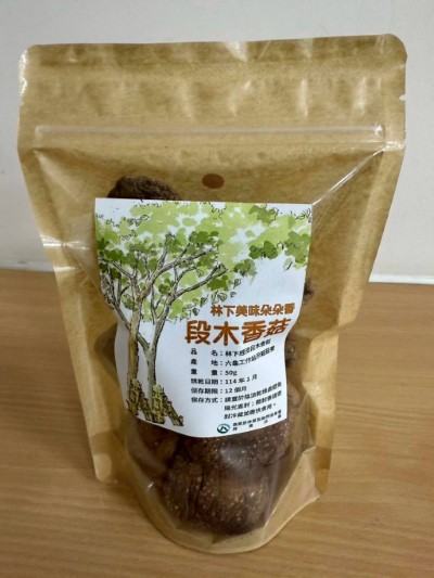 屏東分署林下經濟產品-段木香菇