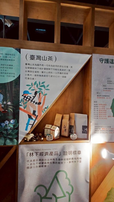 桃源區林農謝國華、蘇粮婷-台灣山茶茶葉