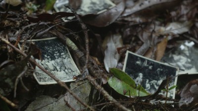 原住民林班工人歷史照片，散落在藤枝駁坎旁的落葉上