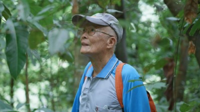 林相變更時期荖濃工作站技術助理員薛大川先生回望樹景