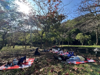 抬頭看看春日的陽光、萌發嫩芽的樹梢，一起享受這場樹下的相聚